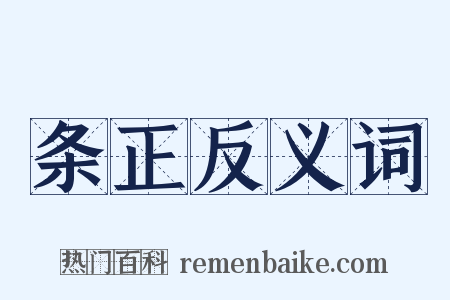 条正反义词是什么意思的图片
